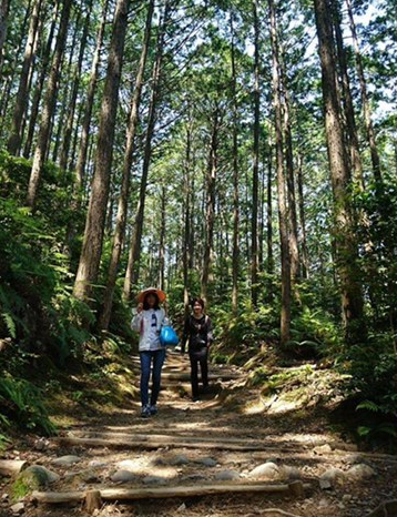 熊野古道