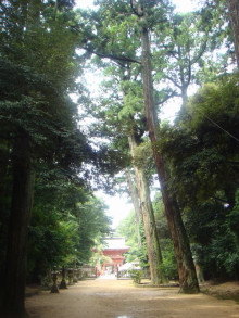 鹿島神宮